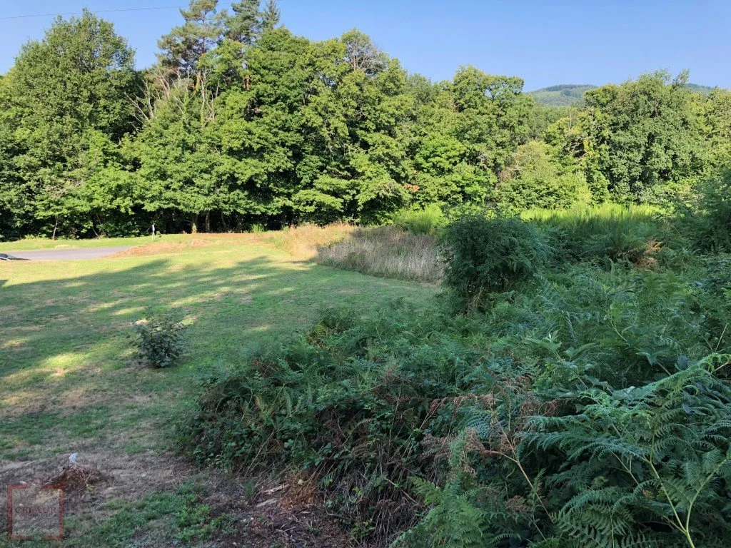 JOLI TERRAIN AU CALME