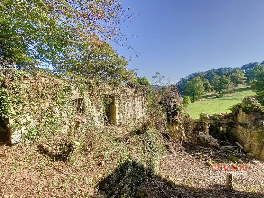 GRANGE A RESTAURER SUR 1.3 HA