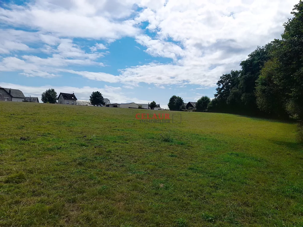 Terrain constructible