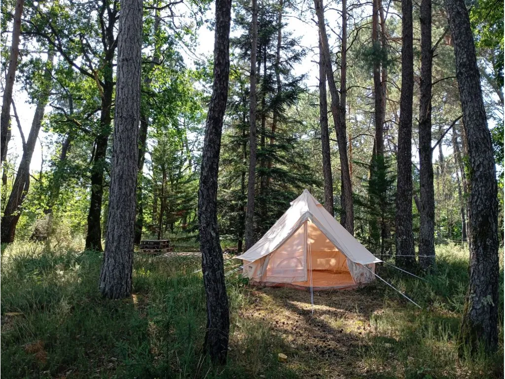 PLAIN PIED DE 2022 SUR 5041 M&sup2; DE BOIS