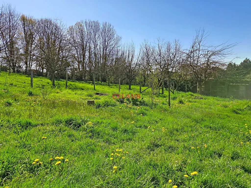 CHAMBOULIVE : MAISON ET SON JARDIN